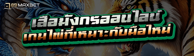 เสือมังกรออนไลน์ เกมไพ่ที่เหมาะกับมือใหม่
